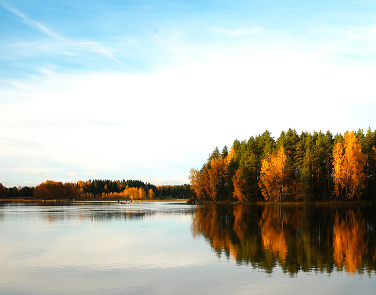 Twizel Holiday Homes