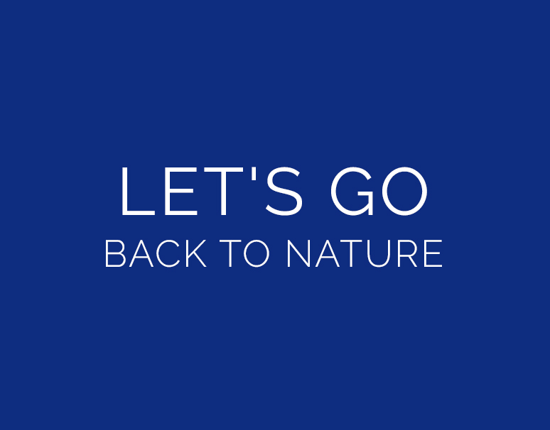 Twizel Holiday Homes